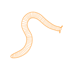 Animals Myriapods Desert Millipede Sticker Outline Svg File, Free Vectors File